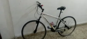 بسكاليت للبيع