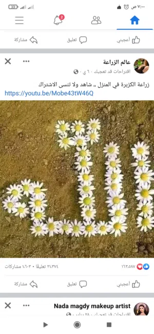 معلمة كيمياء وفيزياء وعلوم للحلقة الاولى والمتوسطة