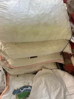 نفيعة مبسلي