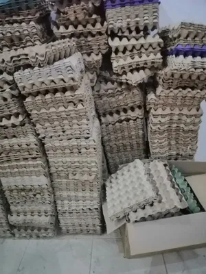 أطباق بيض للبيع