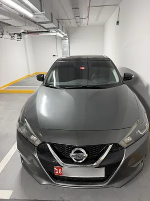 Used Nissan Maxima in Abu Dhabi