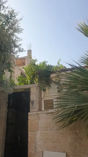 بيت راس تطوير الحضري الضاحيه الاذاعه