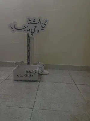 استاندات الشتاء