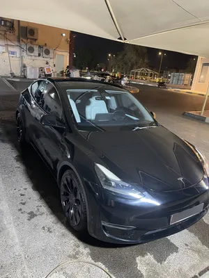 Tesla Model Y Performance 2023 - Warranty