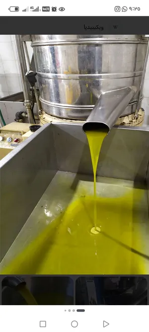 زيت زيتون الكفارات أما منوصلكياه أو بتيجي بتوخذه من باب البيت