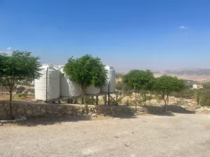 ارض للبيع السلط ام العمد ذات اطلاله خلابه على جبال جلعد وجرش وعجلون وصويلح