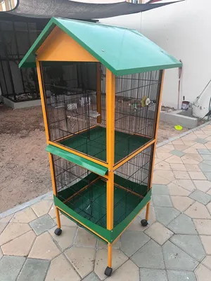 Bird big cage
