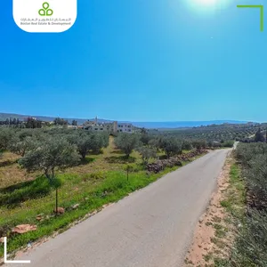 أرض سكنية مزروعة زيتون ومطلة بمساحة 750 متر على الشارع 30 متر في السلط / الصبيحي سيحان قوشان مستقل
