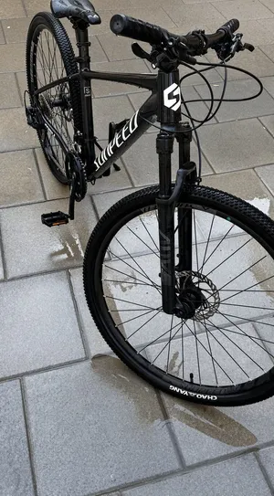 Mountain bike professional