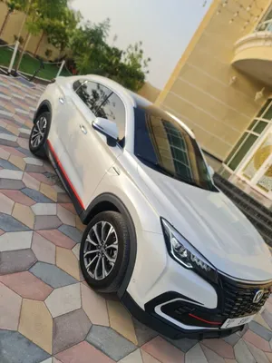 شانجان 2023