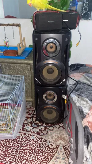Penasonic speaker