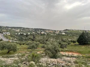 ارض للبيع ناعور، مرج الحكر، نزول السلام 9.616 دونم