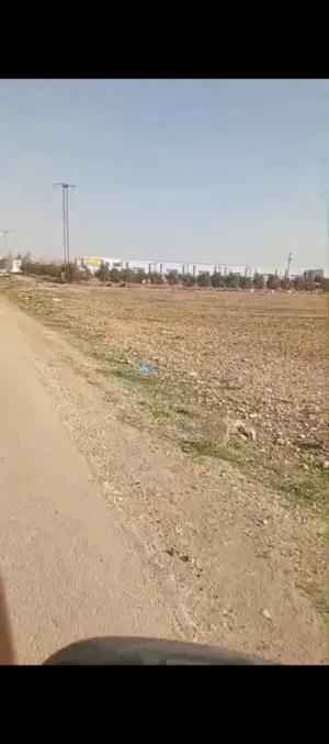 فرصة استثمارية استثنائية للإيجار في منطقة القسطل، بموقع استراتيجي من الدرجة الأولى