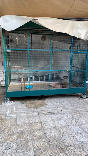 للبيع قفص طيور مستخدم  موجود ف عجمان