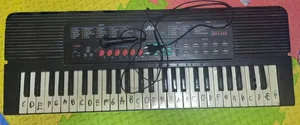 Piano with mic for Beginners