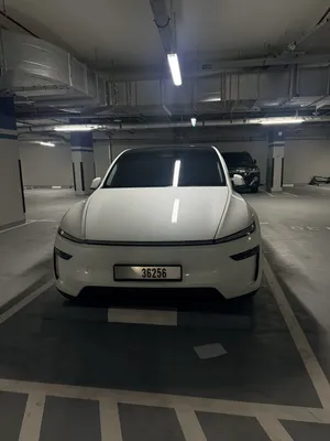 Tesla model Y 2025 long range all wheel drive