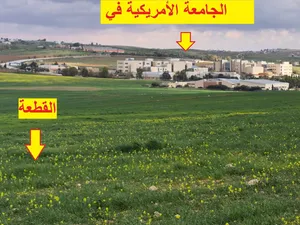 مادبا الواحة بجانب الجامعة الامريكية شمال الجامعة 7252متر بسعر 100 الف قطعة ارض زراعية سكنية مميزة