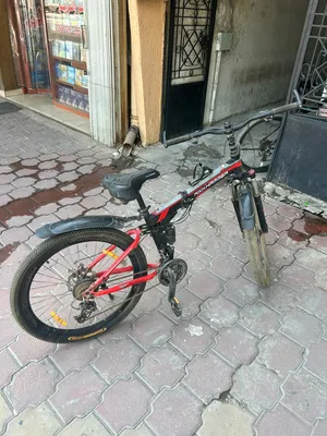 Rock Hammer cycle for sale 26 inch
