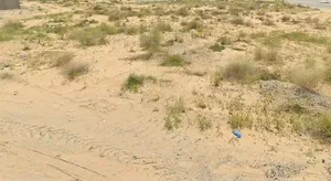 Residential Land for Sale in Sharjah Al Suyoh
