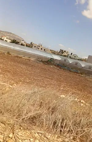 ارض دلم تصنيف A مع حمموت مساحته 770 متر