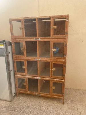 حضانات صوص عدد 2 كل حاضنه ارتفاع مترين عرض 120سم كل عين 60سم 8 عيون