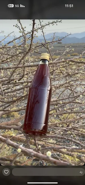 عسل سمر جديد 2026
