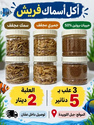 عرض على أكل أسماك الزينة والمفترسة