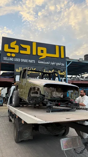 بودي جيب رانجلر بابين