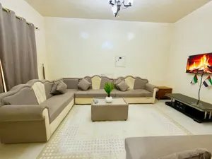 شقه مفروشه غرفه وصاله الروضه 2 شارع تونس قريبه من شارع الشيخ عمار السعر 3800 شامل الفواتير والانترنت