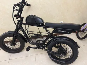 Windhorse d5 ebike 48v 21ah 1000W