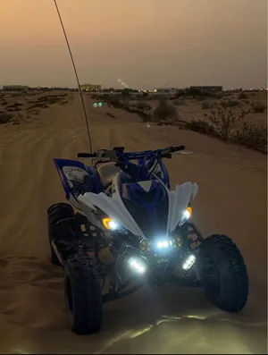 2015 raptor 700