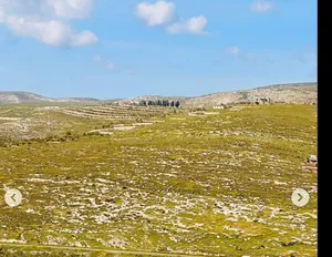 Mixed Use Land for Sale in Nablus Asira Ash-Shamaliya
