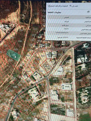 دابوق أبو ركبة