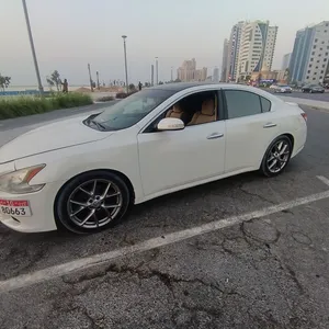 Used Nissan Maxima in Ajman