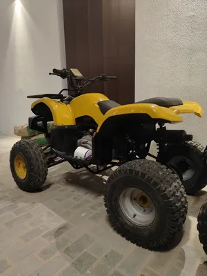 Grizzly Shap 250cc engine powerful automatic gear D N R shift model 2023 in very good condition same