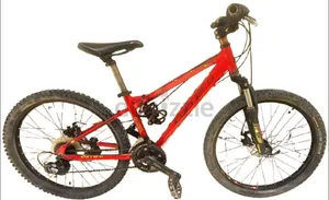 Red mountain bike