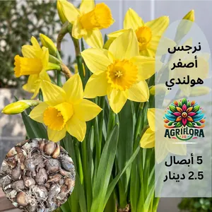 بذور خضروات وازهار متنوعة وشبك التظليل الزراعي وكل مستلزمات الحدائق تجدونها لدينا