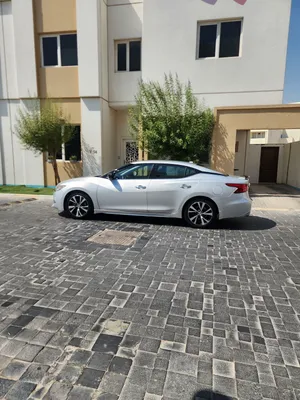 Used Nissan Maxima in Muscat