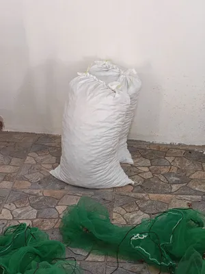 تمر نفيعه ممتازه