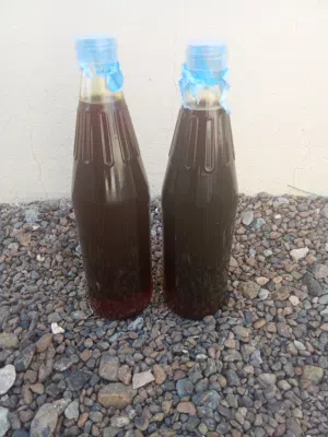 عسل ابو طويق جبلي