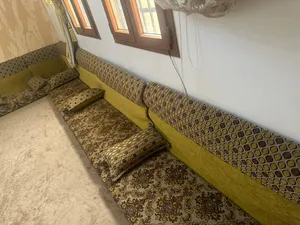 فراشات معيشة