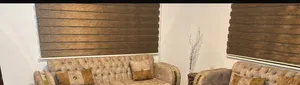 برادي زيبرا