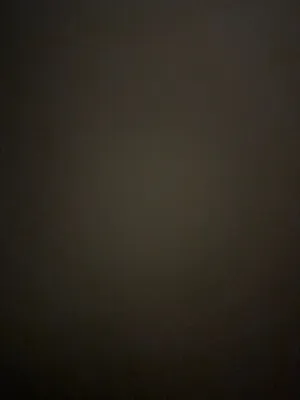 البحث عن شقه