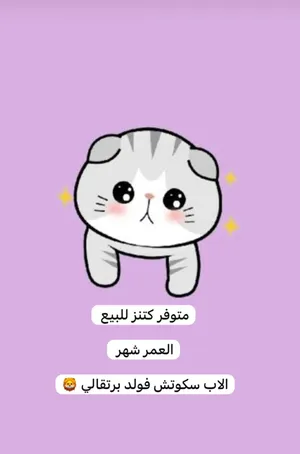 متوفر كتن للبيع