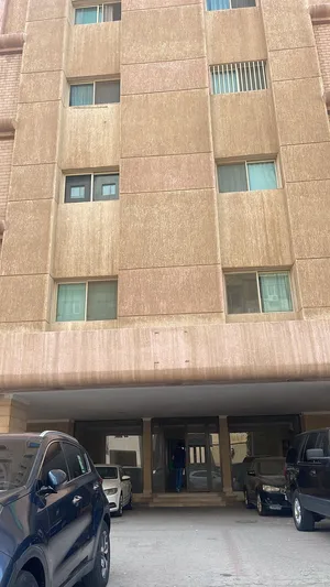استديو موجود شخص السكن جاهز علي المشاركه الايجار 75 الموجود واحد شخص فقط