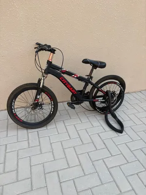 One blue mountain bike 200drh One black mountain bike 200drh One folding bike 100