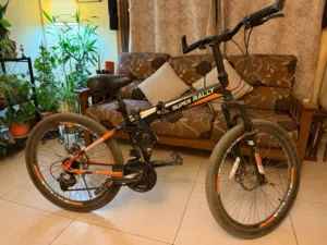 Folding cycle
