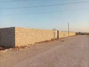 ربع هكتاار فل طلحيه