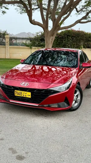 Used Hyundai Elantra in Muscat