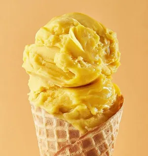 Full Operational Frozen Treat Company